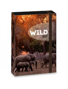 Ars Una The eyes of the wild elephant 5217 A4 füzetbox