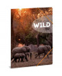 Ars Una The eyes of the wild elephant 5217 A4 gumis mappa