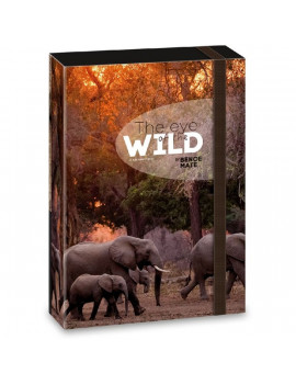 Ars Una The eyes of the wild elephant 5217 A5 füzetbox