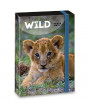 Ars Una The eyes of the wild lion 5216 A5 füzetbox