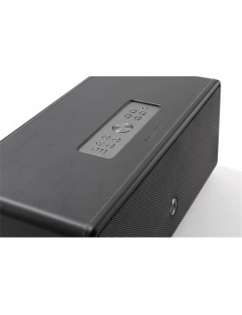 Audio Pro D-1 fekete hordozható hangsugárzó