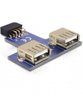 Delock 41824 USB 9tűs 2,54mm anya > 2xUSB 2.0 anya header adapter