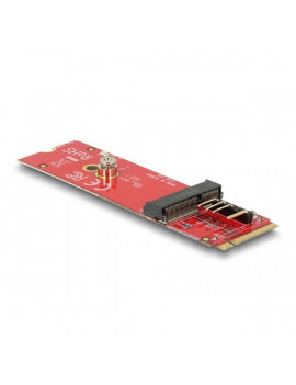 Delock 63343 M.2 M apa - M.2 E USB és PCIe modulokhoz átalakító
