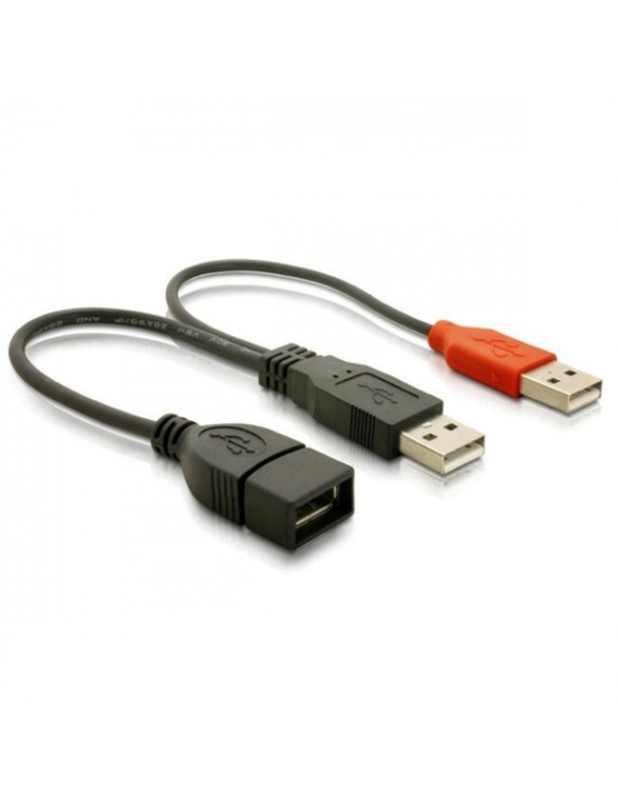 Delock USB adat- és hálózati kábel