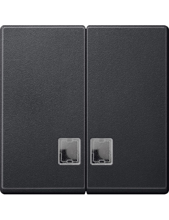 Schneider MTN437514 MERTEN System-M átlátszó fényjelző ablakokkal/antracit dupla billentyű
