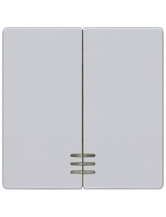 Siemens 5TG6244 DELTA I-SYSTEM világítóablakkal alumínium 2-es billentyű